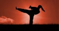 Composition of silhouette of female martial artist against orange sky with sun setting Royalty Free Stock Photo