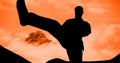 Composition of silhouette of male martial artist over orange sky with sun setting Royalty Free Stock Photo