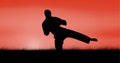 Composition of silhouette of male martial artist over orange sky with sun setting Royalty Free Stock Photo