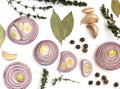 Composition of Sliced Red Onions and Various Spices Royalty Free Stock Photo