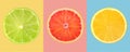 Composition of slices citrus fruits on colored background Royalty Free Stock Photo