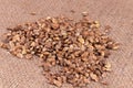 Composition of a small heap of spiny dry seeds laying on brown textile