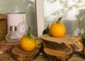 Composition of small pumpkins and apples, wooden disc base, Halloween time