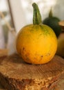 Composition of small pumpkins and apples, wooden disc base, Halloween time