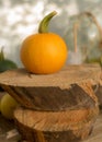 Composition of small pumpkins and apples, wooden disc base, Halloween time Royalty Free Stock Photo