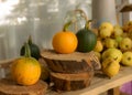 Composition of small pumpkins and apples, wooden disc base, Halloween time Royalty Free Stock Photo