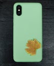 Composition with smartphone in unbranded mint / teal color case, headphones, green leaves of grape on black wooden table. Music lo