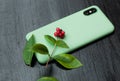 Composition with smartphone in unbranded mint / teal color case, headphones, green leaves and red berries. Music lover Royalty Free Stock Photo