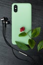 Composition with smartphone in unbranded mint / teal color case, headphones, green leaves and red berries. Music lover Royalty Free Stock Photo