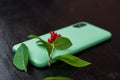 Composition with smartphone in unbranded mint / teal color case, headphones, green leaves and red berries. Music lover