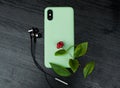 Composition with smartphone in unbranded mint / teal color case, headphones, green leaves of white cedar branch on black wooden ta