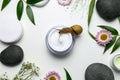 Composition with snail and cosmetic products on white background, top view Royalty Free Stock Photo