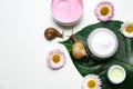 Composition with snails and cosmetic products on white background, top view Royalty Free Stock Photo