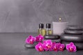 Composition with spa stones and orchid on grey background. Space for text Royalty Free Stock Photo