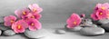 Composition with spa stones, pink flower on grey background Royalty Free Stock Photo
