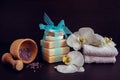 Composition of spa treatment Royalty Free Stock Photo