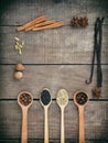 Composition of spices on wooden background: allspice, cloves, fennel, star anise, vanilla, cinnamon, green cardamom, nutmeg, black Royalty Free Stock Photo
