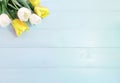 Composition of spring flowers on a light blue wooden background. White and yellow tulips. Advertising content for Birthday, Royalty Free Stock Photo