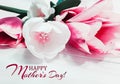Composition of spring flowers on a white wooden background. Pink and white tulips. Inscription Happy Mother`s Day. Advertising Royalty Free Stock Photo