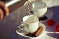 Composition of a spring picnic with two cups of hot tea with sticks of cinnamon and anise, tea poured from the thermos