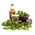 Composition for St. Patrick's Day isolated on white background Royalty Free Stock Photo