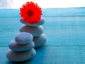 composition still life with flowers, massage stones, Spa concept, the substrate, the space Royalty Free Stock Photo