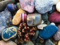 Collection of stones, shells and cones on the shore