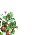 Composition of strawberries with flowers and ripe berries. Royalty Free Stock Photo