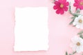 Composition from summer flowers. Kosmey flowers on pastel pink background