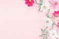 Composition from summer flowers. Kosmey flowers on pastel pink background