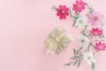 Composition from summer flowers. Kosmey flowers on pastel pink background