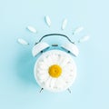 Composition-summer time from clock and chamomile flowers on blue background. Flat lay, top view Royalty Free Stock Photo