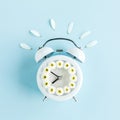 Composition-summer time from clock and chamomile flowers on blue background. Flat lay, top view Royalty Free Stock Photo