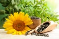 Composition with sunflower seeds Royalty Free Stock Photo