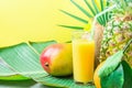 Composition Tall Glass with Freshly Squeezed Tropical Fruit Juice with Straw Pineapple Coconut Mango Orange on Large Palm Leaf Royalty Free Stock Photo