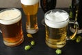 Composition with tasty beers and fresh green hops Royalty Free Stock Photo