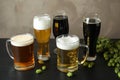 Composition with tasty beers and fresh green hops Royalty Free Stock Photo