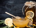 The composition of tea with lemon and honey Royalty Free Stock Photo