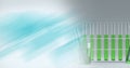 Composition of test tubes of green liquid in rack, with blurred blue copy space Royalty Free Stock Photo