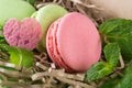 Composition of three biscuit biscuits and mint leaves for a gift