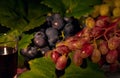 Composition with three grape varieties, white, black and pink among grape leaves and a glass of red wine