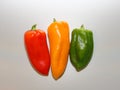 Composition of three peppers: red, yellow, green. Royalty Free Stock Photo
