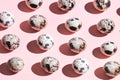 Composition of tiny quail eggs Royalty Free Stock Photo