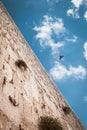 50/50 composition, to show half heaven half earth. Wailing wall with blue sky on the background, and bird in the sky. Jerusalem
