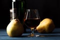 Composition with traditional fruit brandy and pears Royalty Free Stock Photo