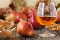 Composition with traditional fruit brandy and pears Royalty Free Stock Photo