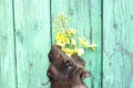 Composition of a tree thick branch standing on wooden green background