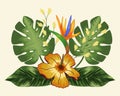 Composition with tropical flowers and strelitzia, leaves palm and monstera. Vector on a light background