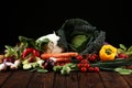 Composition with variety of raw organic vegetables and fruits. Balanced diet Royalty Free Stock Photo