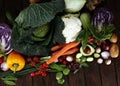 Composition with variety of raw organic vegetables and fruits. Balanced diet Royalty Free Stock Photo